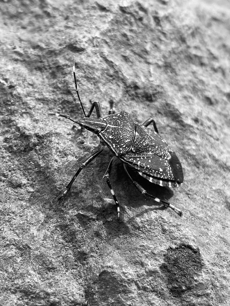 Фотография автора Бакалова Ирина