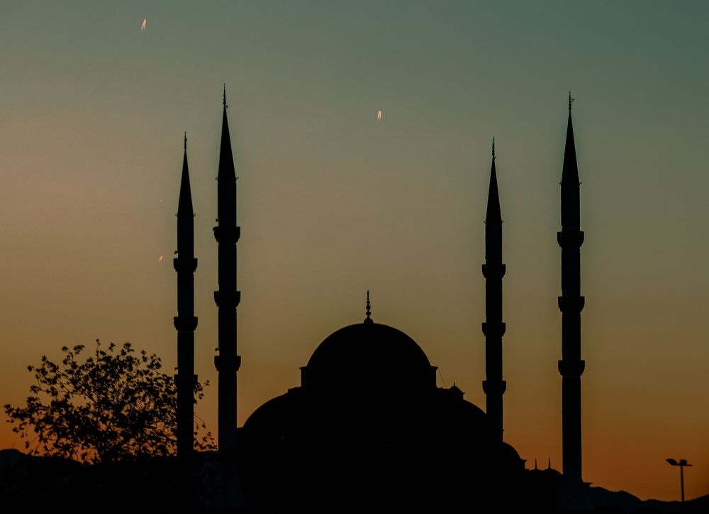 Photograph by Екатерина Нальгиева