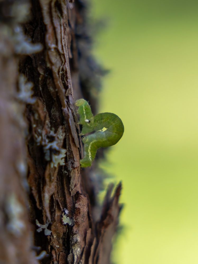 Photograph by Хабаров Сергей