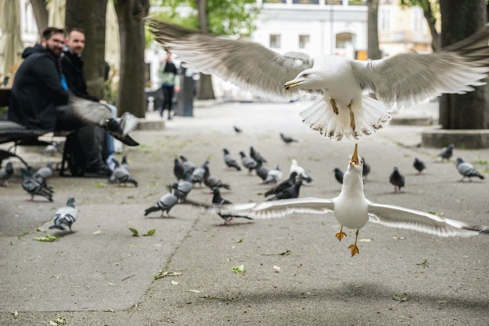 Photograph by Oliver Barnjak