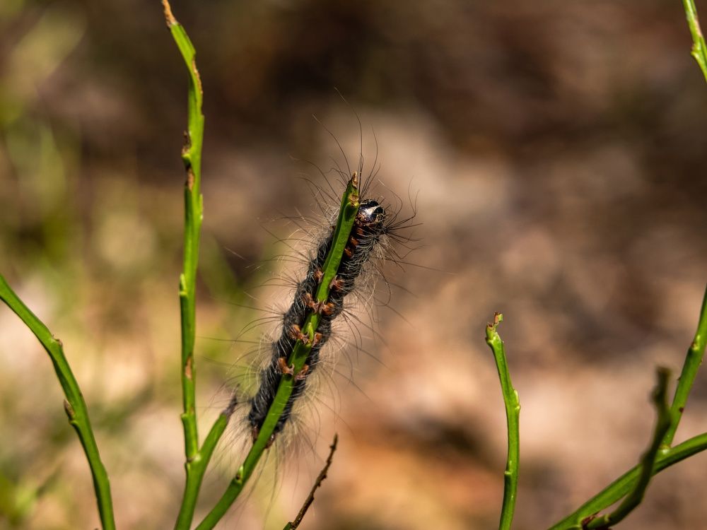 Photograph by Хабаров Сергей