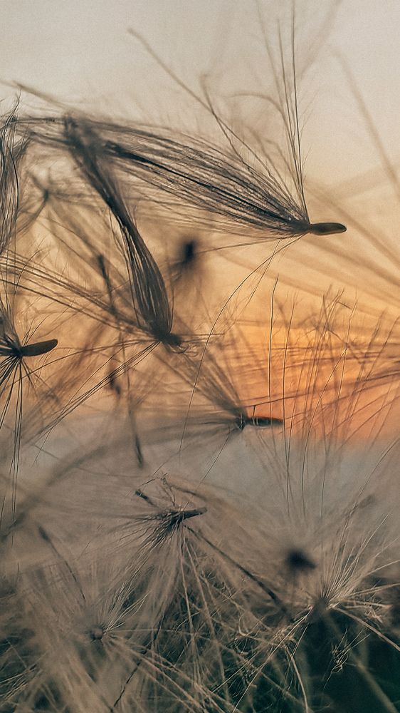 Фотография автора Елена Маслова