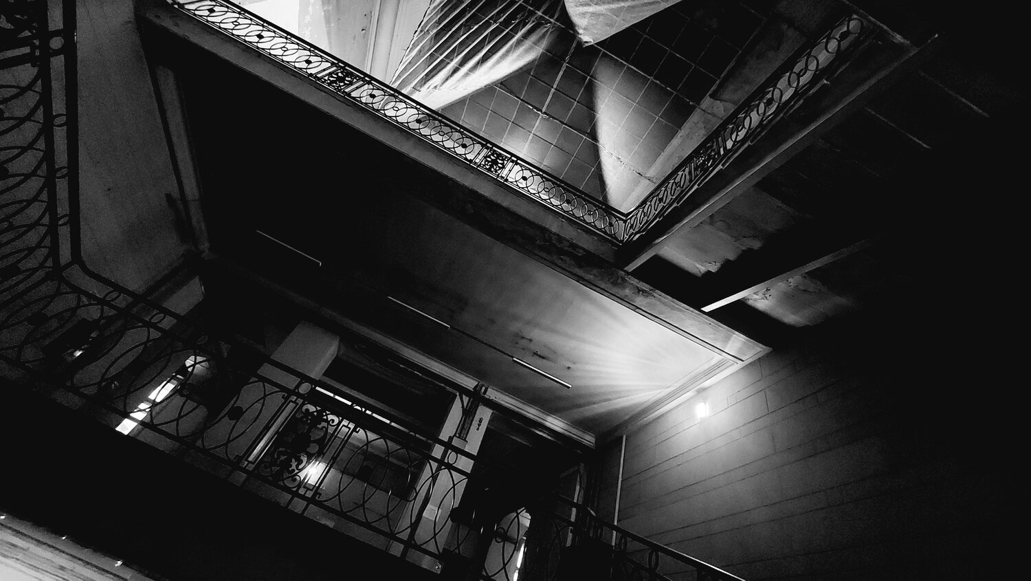 Photo #11300989