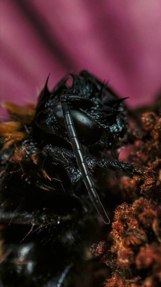 Photograph by Ирина Строкова