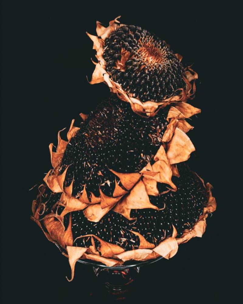 Photograph by Ирина Строкова