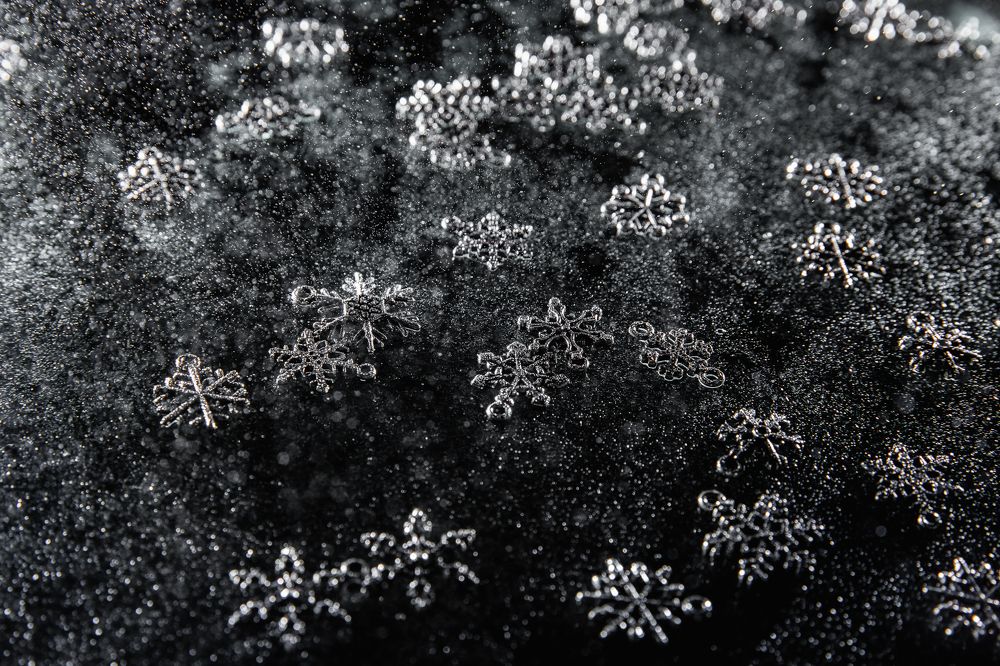 Photograph by Мария Раздорова