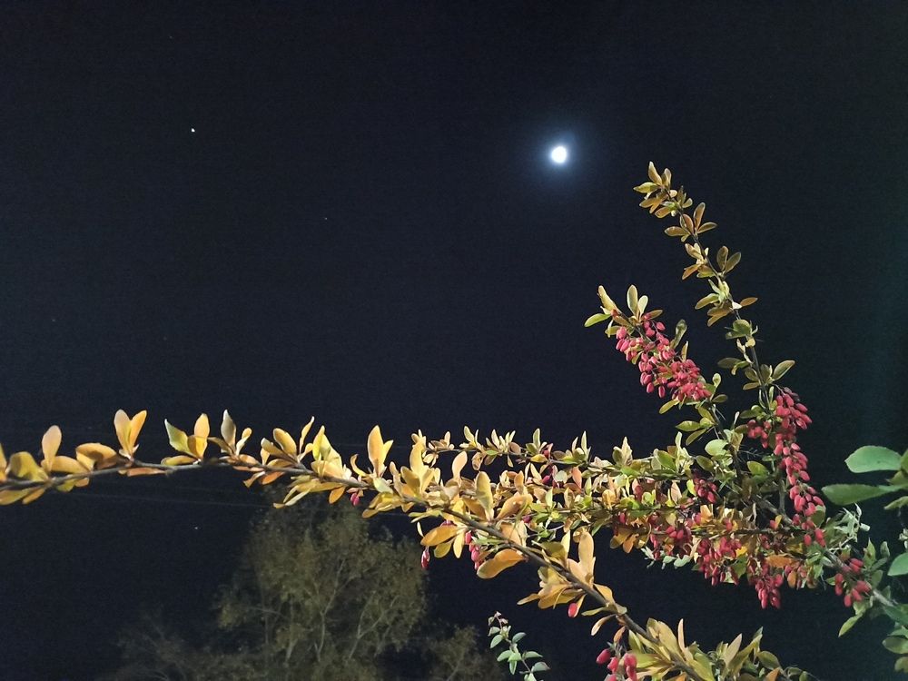 Фотография автора Александр Осинцев