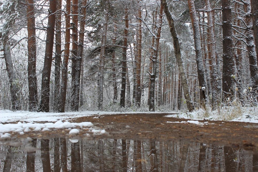 Photograph by Вячеслав Атаманов