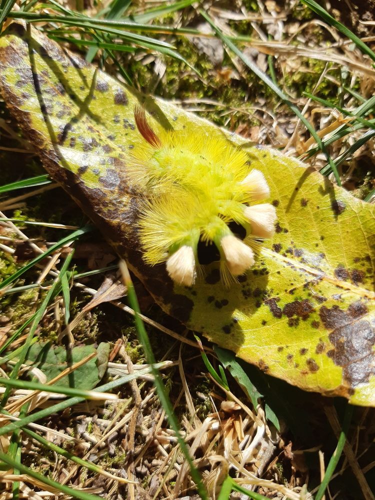 Photograph by Ольга Хромова