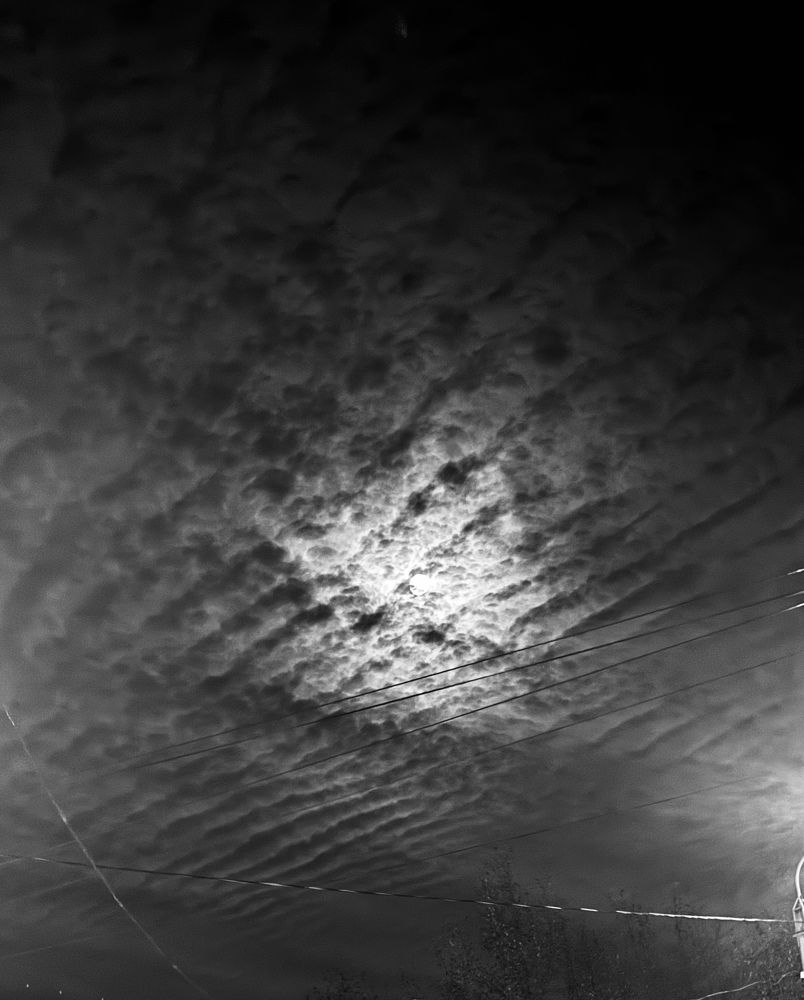 Photograph by Евгения Куликова