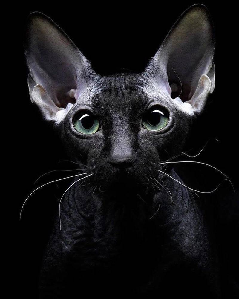 Photograph by Igor Sakharov