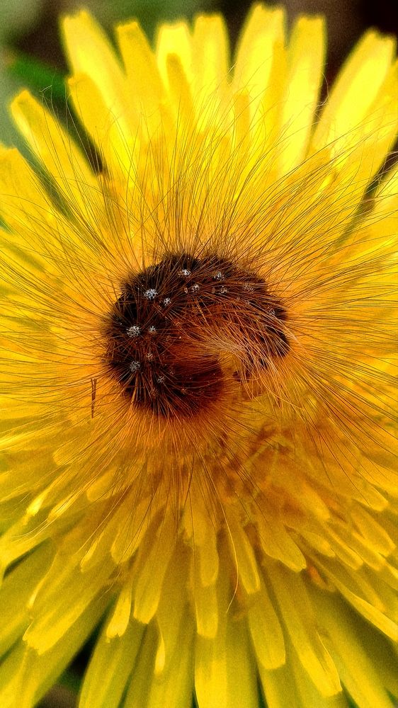 Photograph by Maria Stankevich