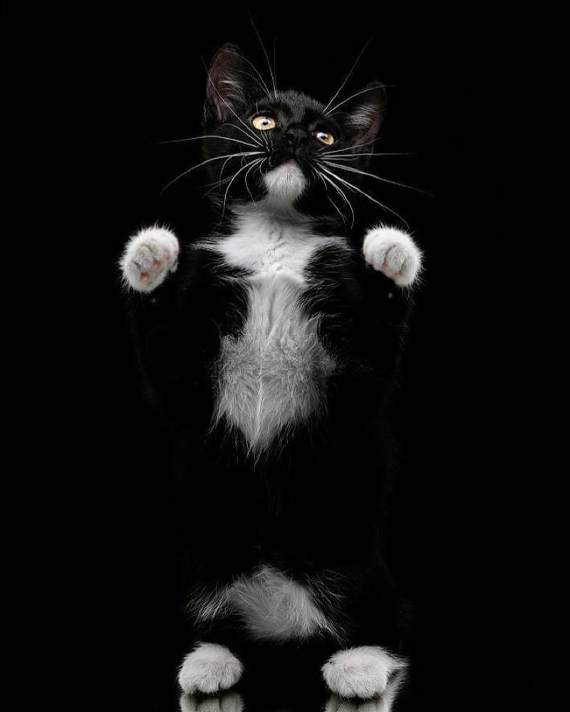 Photograph by Igor Sakharov