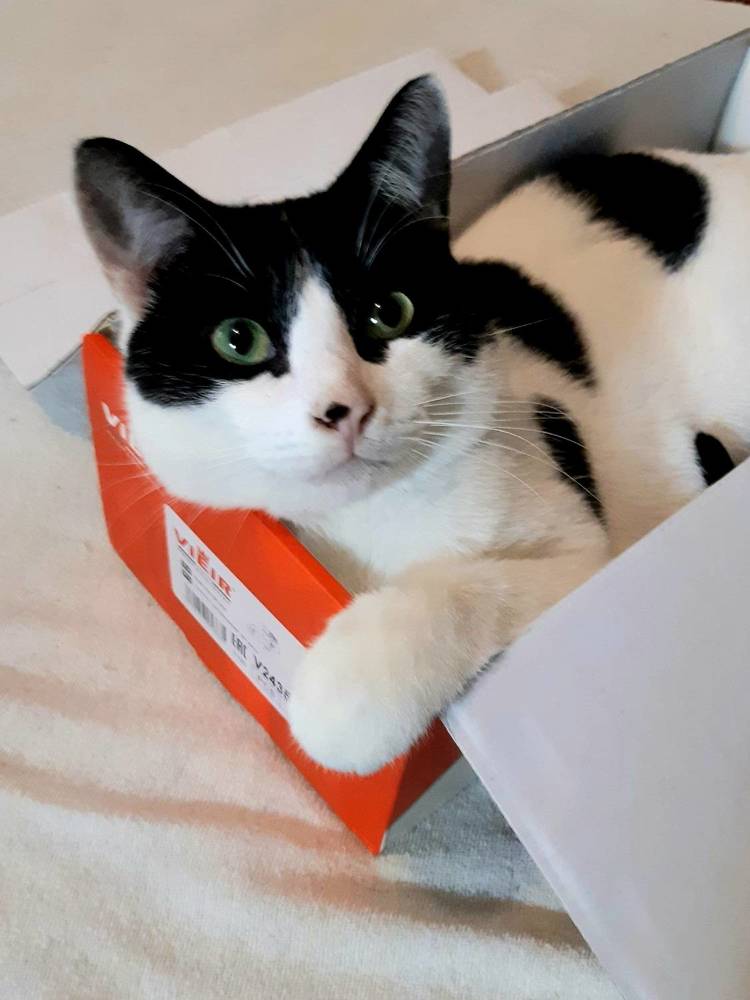 Photograph by Ольга Хромова