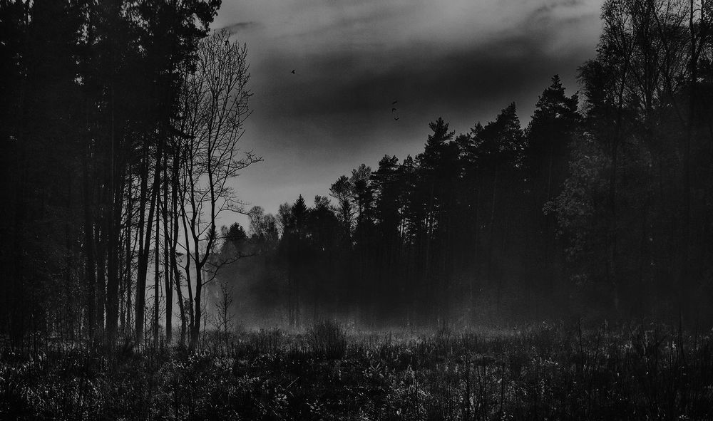 Photograph by Владимир