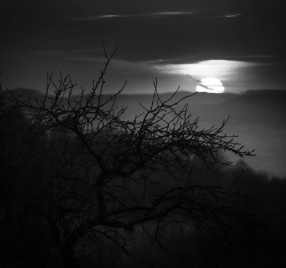 Photograph by Владимир