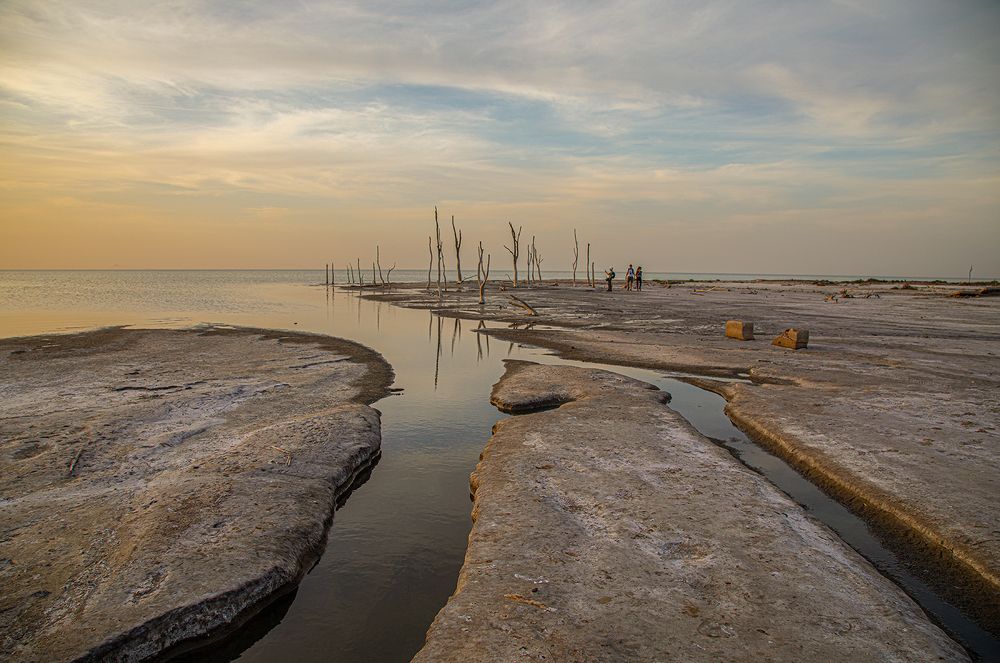 Фотография автора Marina Martorelli