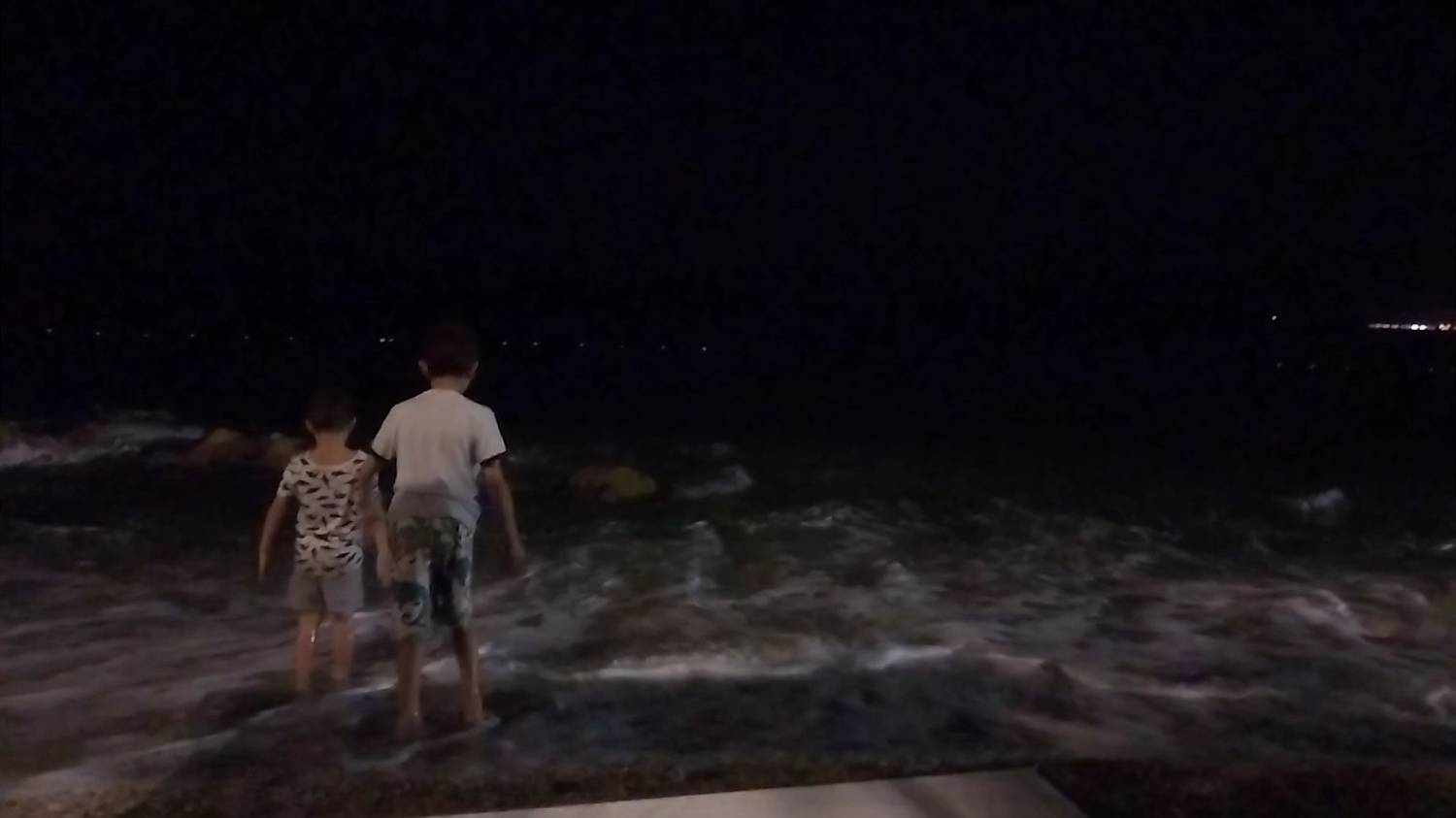 Photo #11301348