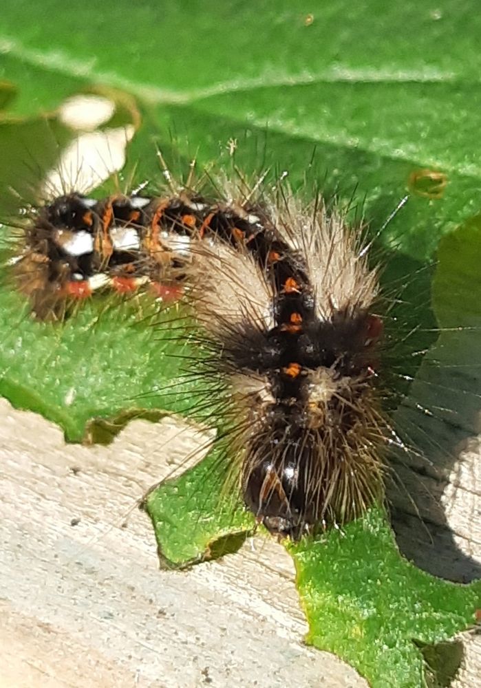 Photograph by Ольга Хромова