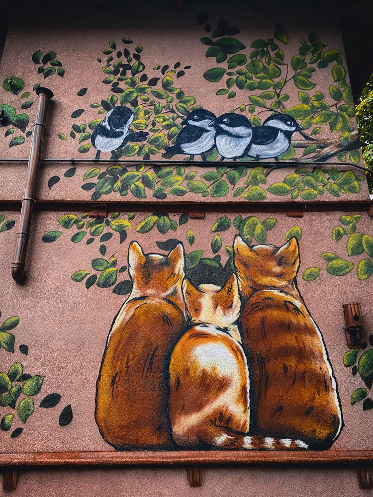 Photograph by Дарья Андреева