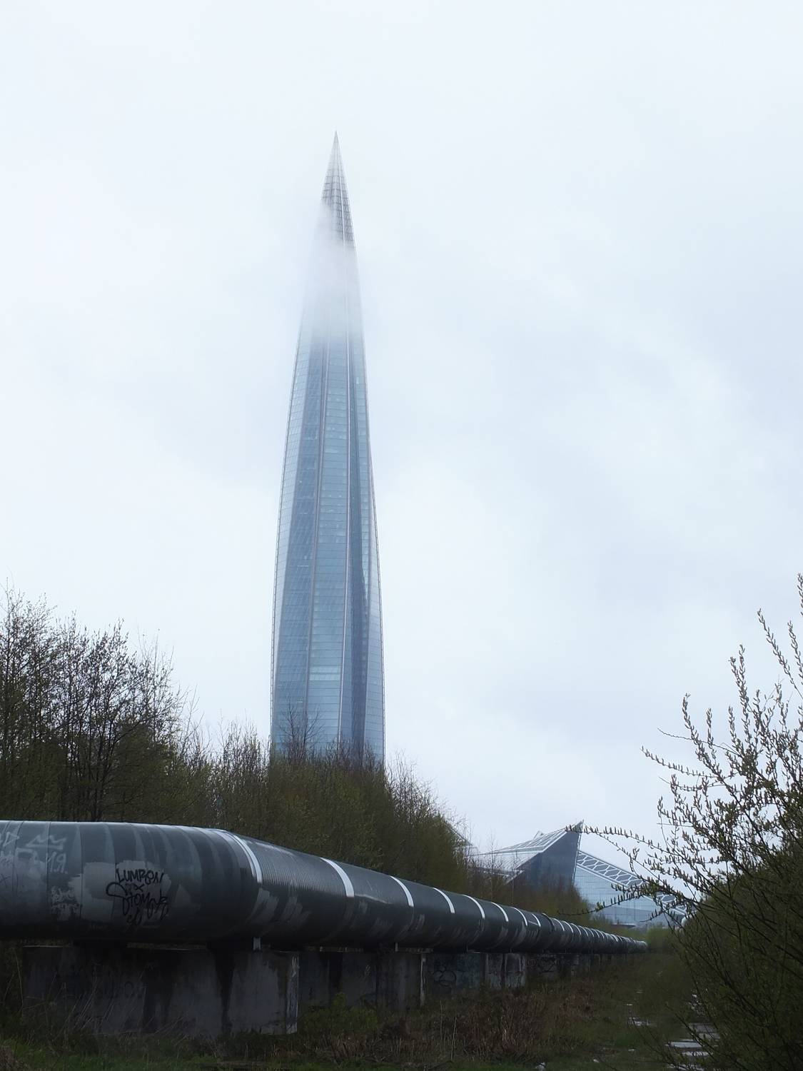 Photo #11301372