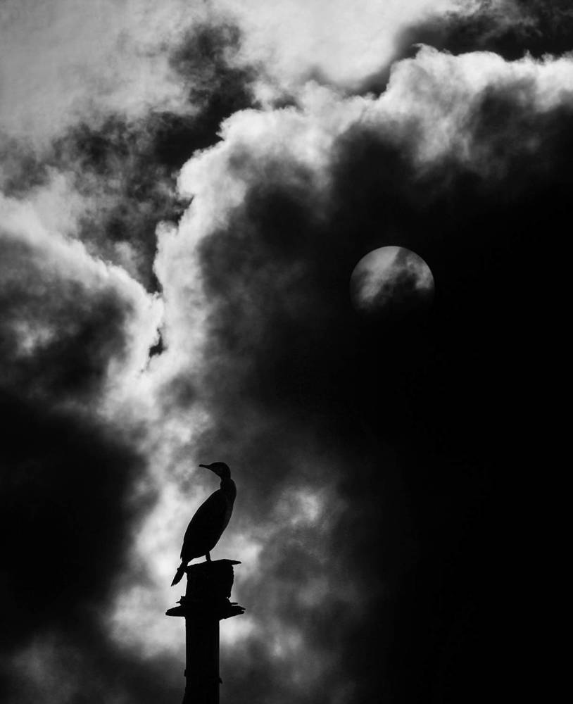 Photograph by hasan sorena jouri