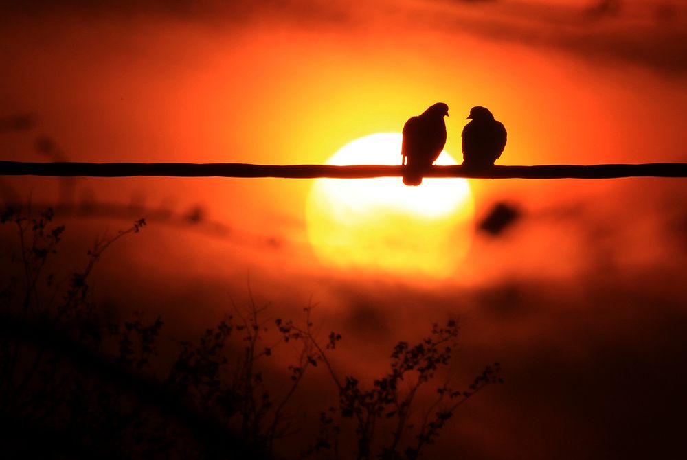 Photograph by hasan sorena jouri