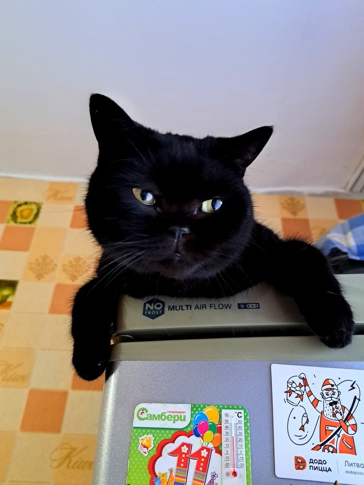 Photograph by Виктор Сёмушкин