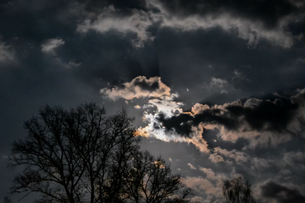 Photograph by Анастасия Гурова