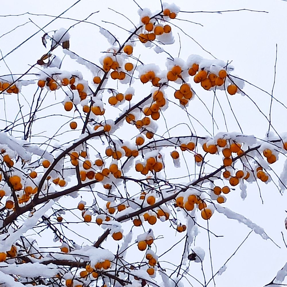Фотография автора Александр Осинцев