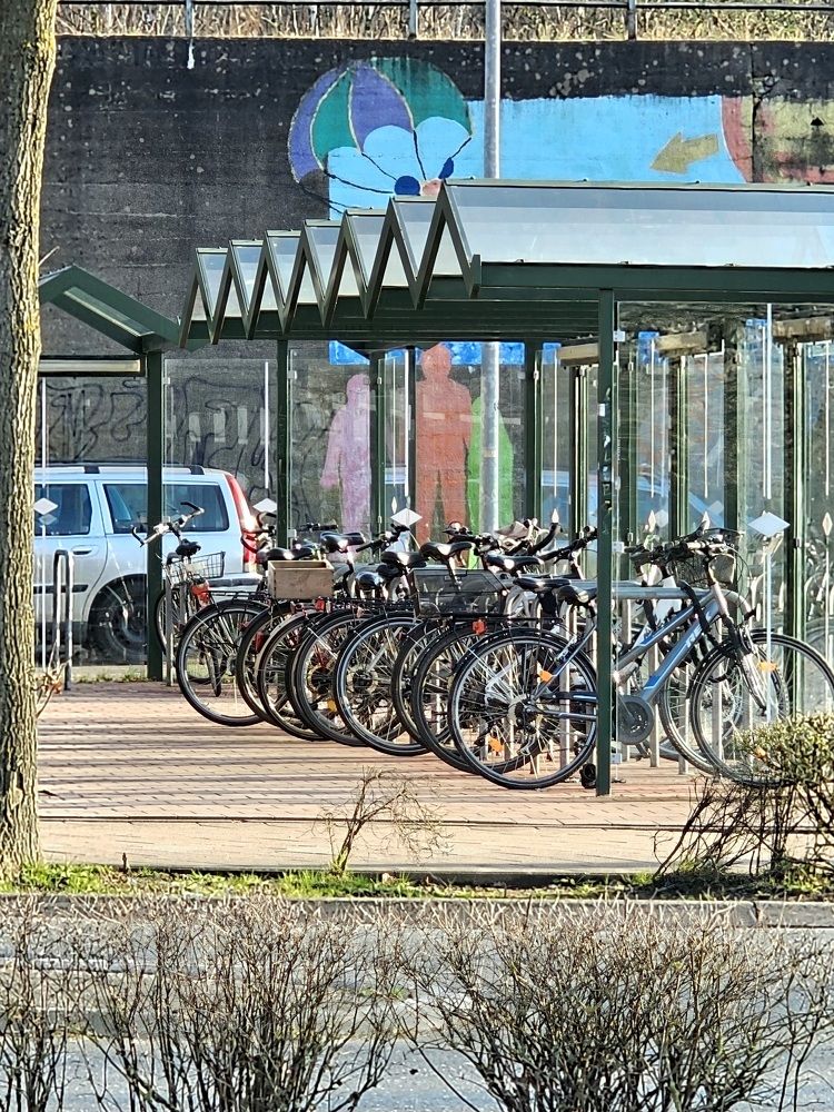 Photograph by Elena Neprosh