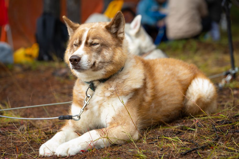 Photograph by Илья Беляев