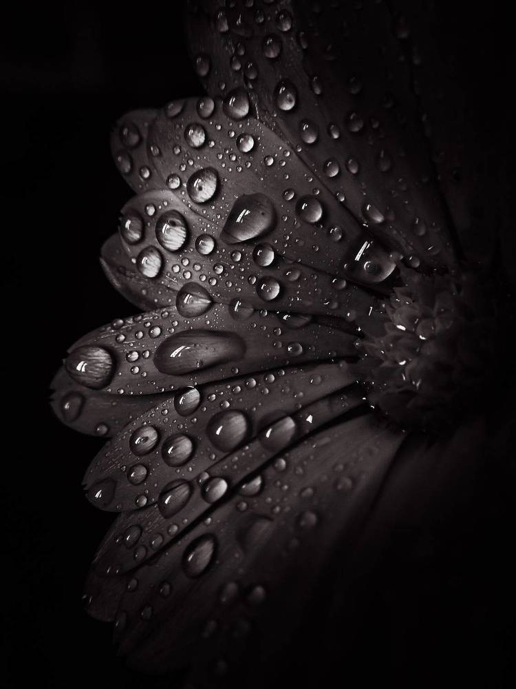 Photograph by Наталья Лищинская