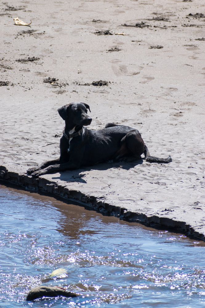 Photograph by Mauricio Santiago Boulogne