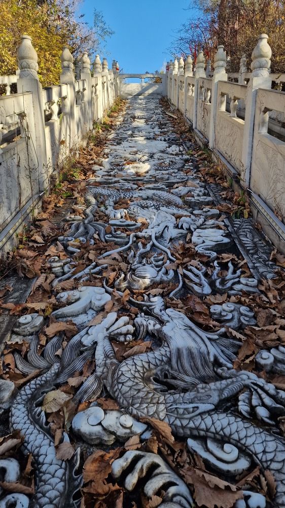 Photograph by Галина Новикова