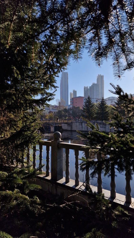 Photograph by Галина Новикова