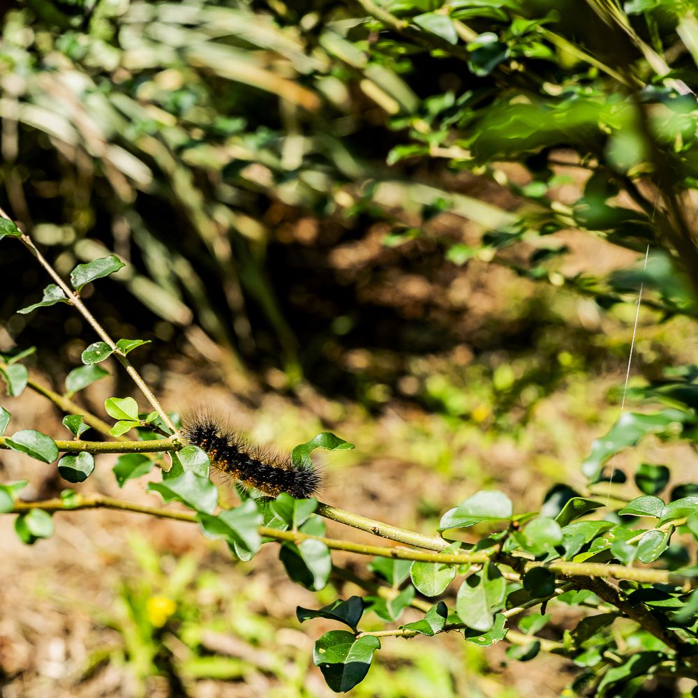 Photograph by Armando López-Guerrero