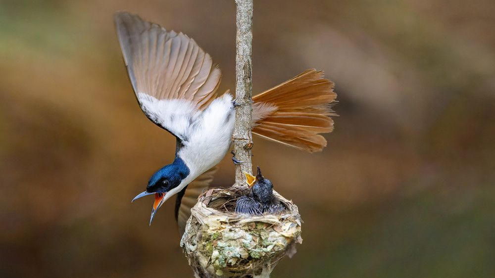 Photograph by Alexander Babych