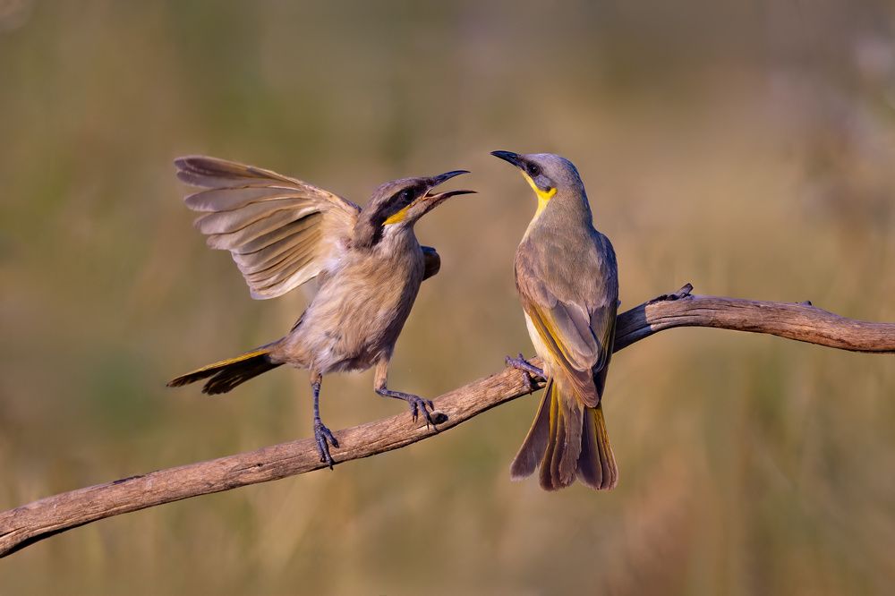 Photograph by Alexander Babych