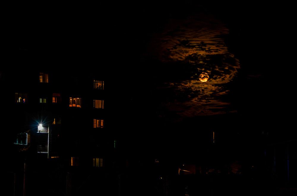 Photograph by Александр Гатилов