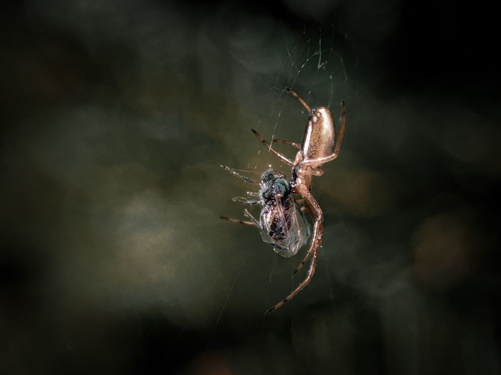 Photograph by Александра Петрова