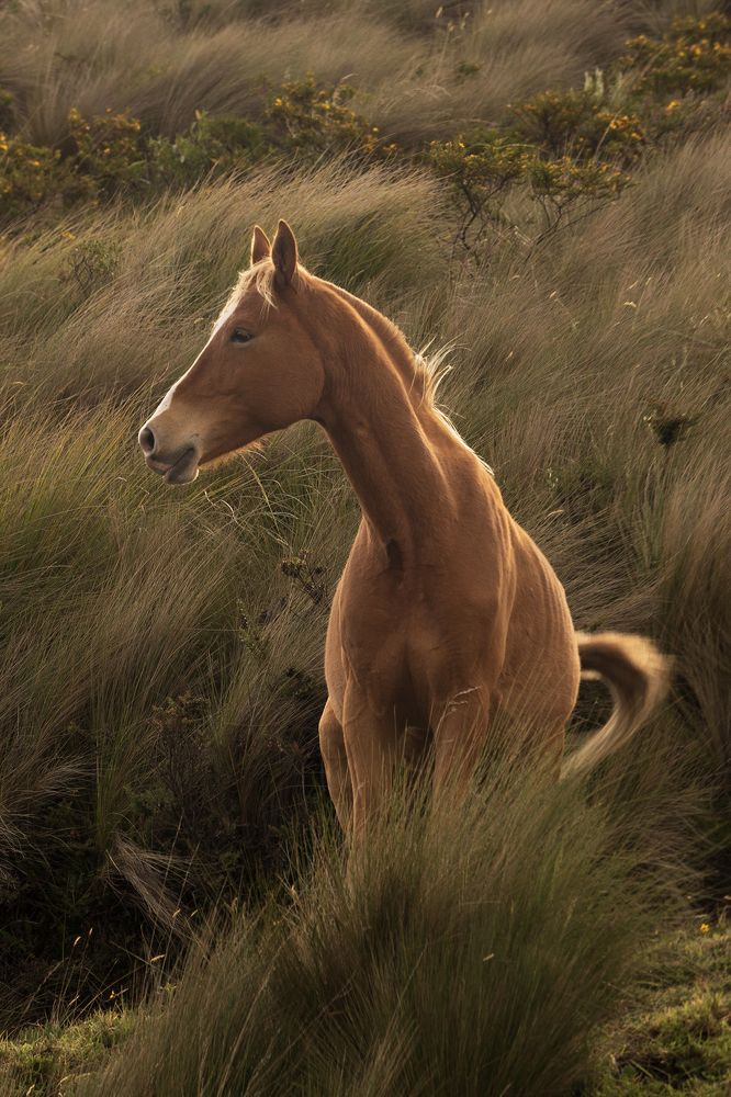 Photograph by Yinna Paola Higuera Bernal