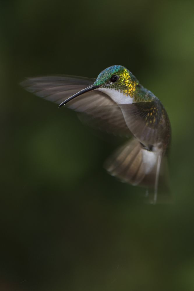 Photograph by Yinna Paola Higuera Bernal