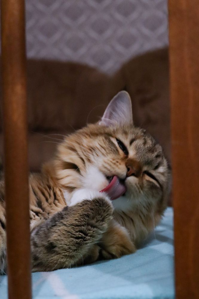 Photograph by Екатерина Рыжкова