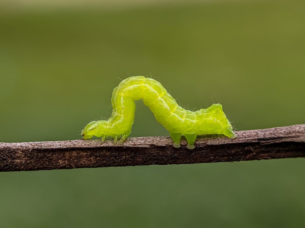 Photograph by Ramprasad Das