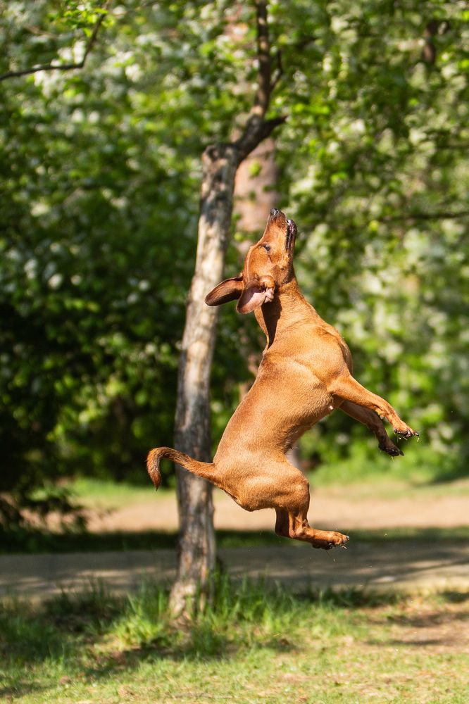 Всё выше и выше