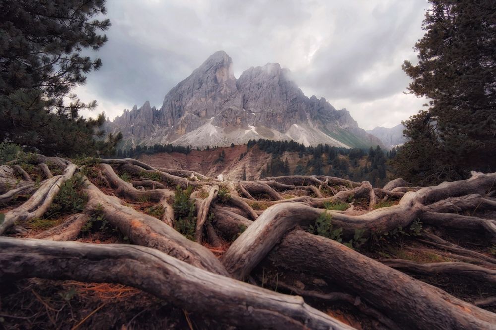 Фотография автора Henri Fitriadi