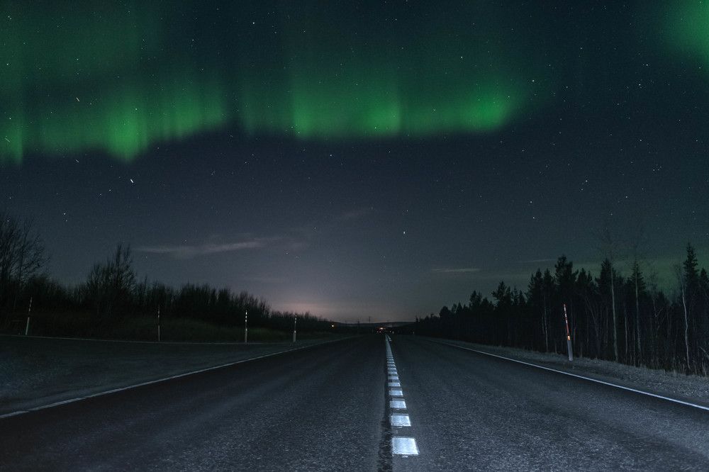 Дорога домой