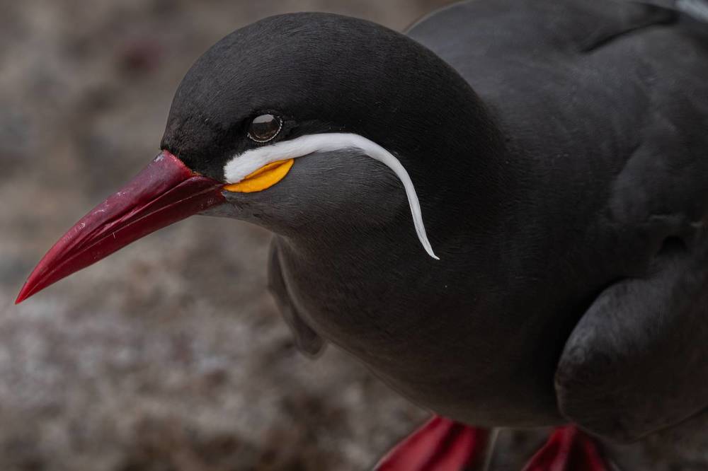 Photograph by Sandra Alvarez