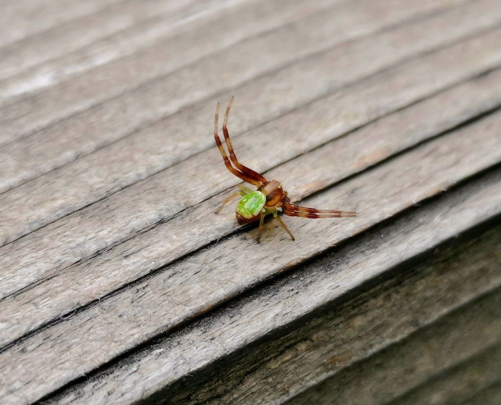 Photograph by Гульназ